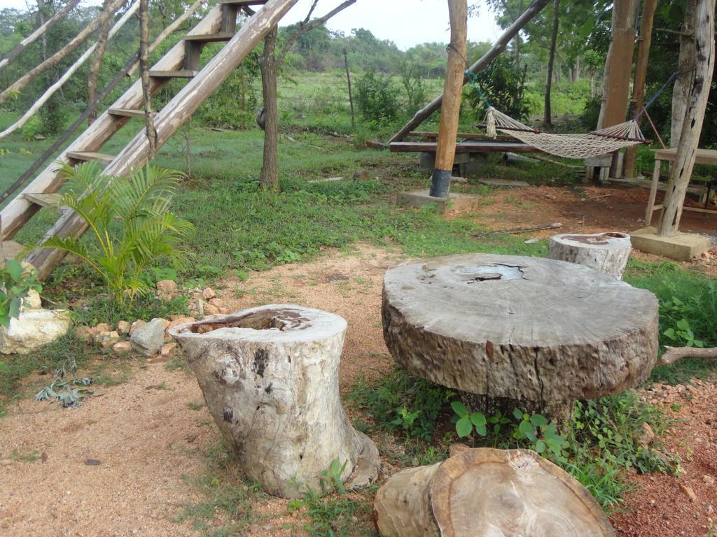 Sigiri Forest View Sigiriya Bagian luar foto