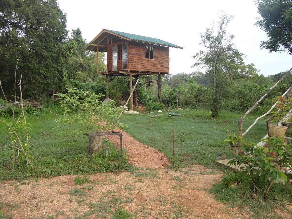 Sigiri Forest View Sigiriya Bagian luar foto