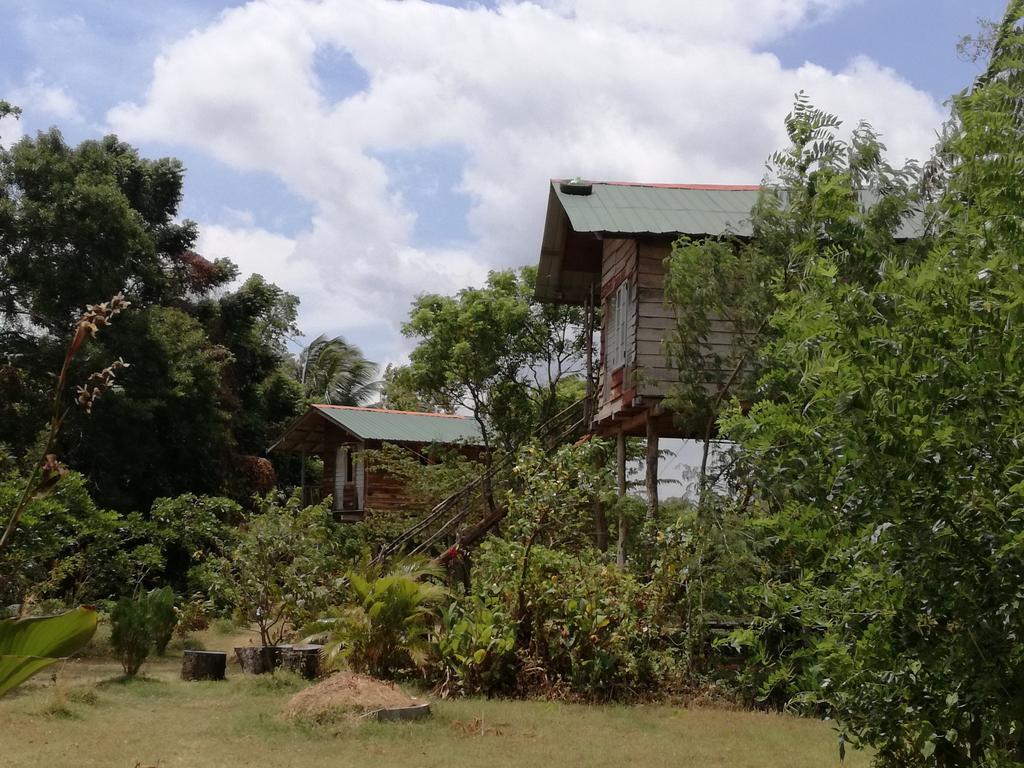 Sigiri Forest View Sigiriya Bagian luar foto