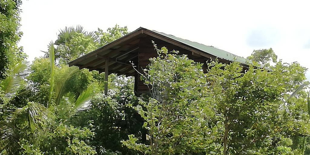 Sigiri Forest View Sigiriya Bagian luar foto